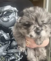 processed/25879a00-8bb9-4e82-a788-e309bbaeca6e/listing/6efb476e-6f9d-4d13-9824-7a0e33a3b10c/d3601e45-66aa-451d-8f48-ed916bc428be