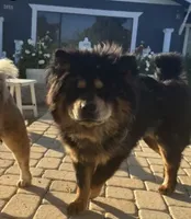 processed/25879a00-8bb9-4e82-a788-e309bbaeca6e/listing/6efb476e-6f9d-4d13-9824-7a0e33a3b10c/d94eae34-a2b6-4884-92d2-062cd74368b7