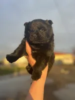 processed/25879a00-8bb9-4e82-a788-e309bbaeca6e/listing/716d3c8c-654f-4527-8c90-c9bc89cbe8b3/03506bce-c90a-4b8d-bf9f-7ca87951d47a