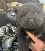 processed/25879a00-8bb9-4e82-a788-e309bbaeca6e/listing/716d3c8c-654f-4527-8c90-c9bc89cbe8b3/105c7c77-f922-47a0-bb07-a3f9e821180e