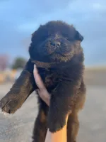 processed/25879a00-8bb9-4e82-a788-e309bbaeca6e/listing/8c81bc9e-dc00-4c38-9b5e-dcba6e17a203/29d6ea6a-75cb-4684-9fa8-ef4e588a0d6c