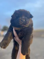 processed/25879a00-8bb9-4e82-a788-e309bbaeca6e/listing/8c81bc9e-dc00-4c38-9b5e-dcba6e17a203/ad69685b-fb48-41e1-ac3e-0d88aaba4349