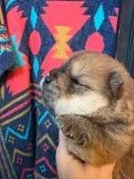 processed/25879a00-8bb9-4e82-a788-e309bbaeca6e/listing/9481ce0b-3a3b-4480-accc-d434d249ec15/1b9d34c0-20b4-49d8-9211-1cf20dd9c3a3