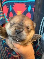 processed/25879a00-8bb9-4e82-a788-e309bbaeca6e/listing/9481ce0b-3a3b-4480-accc-d434d249ec15/4564a568-2317-4426-a62c-12c18ce5b23e