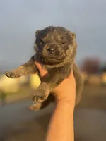 processed/25879a00-8bb9-4e82-a788-e309bbaeca6e/listing/cbbca503-9cee-4f28-880a-bd937641e21c/400ff633-1796-4864-9b28-2df46994d602