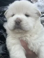 processed/25879a00-8bb9-4e82-a788-e309bbaeca6e/listing/dc260703-1497-4ef8-a645-3cec8bf0d804/33b6de0f-30e1-47a3-b58e-da889bec4b74