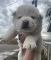 processed/25879a00-8bb9-4e82-a788-e309bbaeca6e/listing/dc260703-1497-4ef8-a645-3cec8bf0d804/dbade0c5-c652-4704-b582-471b4cf17638