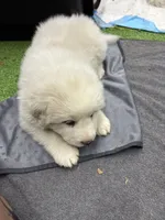 processed/2587c963-f08c-46c6-ab11-4b3a19479214/listing/4f212cad-dcc4-4236-8663-ebb1706764e6/01b4a329-acfb-484f-b011-1840d3eac808