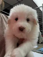 processed/2587c963-f08c-46c6-ab11-4b3a19479214/listing/4f212cad-dcc4-4236-8663-ebb1706764e6/167eb659-7b32-48e9-8d12-e8c36a716d00