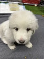 processed/2587c963-f08c-46c6-ab11-4b3a19479214/listing/4f212cad-dcc4-4236-8663-ebb1706764e6/a6a9d315-9593-4569-879d-976506c5eaad