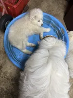 processed/2587c963-f08c-46c6-ab11-4b3a19479214/listing/4f212cad-dcc4-4236-8663-ebb1706764e6/f1a7b7a4-2ca3-4af6-9259-03c1d8a048bd