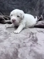 processed/2587c963-f08c-46c6-ab11-4b3a19479214/listing/4f212cad-dcc4-4236-8663-ebb1706764e6/f1faa985-a7dd-4179-86c0-a3b4961dc64b