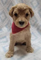 processed/258821df-504b-402f-83fb-f0bcf1136f46/listing/5f3a150c-4c33-44c8-969c-97ae2a959fc7/0c0a82f2-9a8d-461f-a584-d81f19ee4428