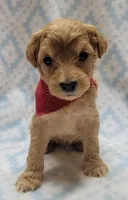 processed/258821df-504b-402f-83fb-f0bcf1136f46/listing/5f3a150c-4c33-44c8-969c-97ae2a959fc7/9135edd4-385d-4f0e-8b58-439999d59348