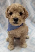 processed/258821df-504b-402f-83fb-f0bcf1136f46/listing/6b9f37b4-1010-4a7d-9b69-5712a5b73e03/319d2c9a-2b49-466e-8cc0-aff270074365