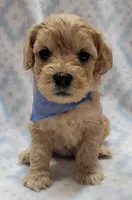 processed/258821df-504b-402f-83fb-f0bcf1136f46/listing/6b9f37b4-1010-4a7d-9b69-5712a5b73e03/3aa49dcf-cce7-4a28-b284-d2bf28d111de