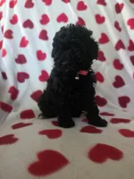 processed/2588370a-00b0-48e7-8dba-ae420814d9da/listing/350f17f4-b7d3-4140-bd80-cfc9f10ba0d4/39f88796-f4c8-4214-98da-fc5c41722d9b