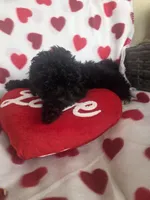 processed/2588370a-00b0-48e7-8dba-ae420814d9da/listing/350f17f4-b7d3-4140-bd80-cfc9f10ba0d4/759bc501-77f1-4911-b563-9065ac6f93a9