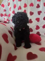 processed/2588370a-00b0-48e7-8dba-ae420814d9da/listing/350f17f4-b7d3-4140-bd80-cfc9f10ba0d4/9c753e4a-c053-4316-aedb-1ce10874376e