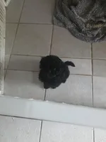 processed/2588370a-00b0-48e7-8dba-ae420814d9da/listing/350f17f4-b7d3-4140-bd80-cfc9f10ba0d4/a245fee2-9b4a-4858-9ff4-6d6e6e8a1b58