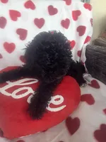 processed/2588370a-00b0-48e7-8dba-ae420814d9da/listing/350f17f4-b7d3-4140-bd80-cfc9f10ba0d4/fd52acad-05eb-4370-a1e7-4a7d410ef9ef