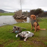 processed/258c855b-b417-4428-b4d9-066a0bee57a1/facility/395abd7c-3477-4848-a0df-44a8868fa3ae