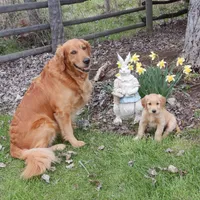 processed/258c855b-b417-4428-b4d9-066a0bee57a1/facility/3f930cfe-87a0-422f-a948-83237b1dba97