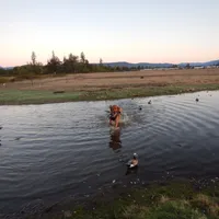 processed/258c855b-b417-4428-b4d9-066a0bee57a1/facility/4d9f4e1a-9bc6-4f2d-bfcd-46b2404cf942