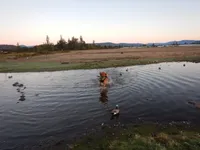 processed/258c855b-b417-4428-b4d9-066a0bee57a1/facility/4d9f4e1a-9bc6-4f2d-bfcd-46b2404cf942