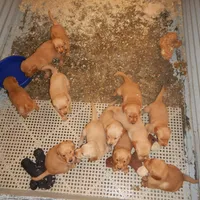 processed/258c855b-b417-4428-b4d9-066a0bee57a1/facility/670b1a71-bc09-40d0-af2d-3a13d400f1a1