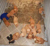 processed/258c855b-b417-4428-b4d9-066a0bee57a1/facility/670b1a71-bc09-40d0-af2d-3a13d400f1a1