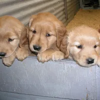 processed/258c855b-b417-4428-b4d9-066a0bee57a1/facility/7d869f0a-a3c6-4d9d-ab50-d41b0e458127