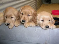 processed/258c855b-b417-4428-b4d9-066a0bee57a1/facility/7d869f0a-a3c6-4d9d-ab50-d41b0e458127