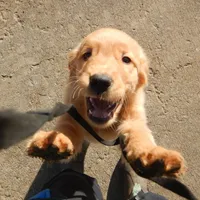 processed/258c855b-b417-4428-b4d9-066a0bee57a1/facility/9cce3e31-ccdf-4b58-addc-1c5dad68aa34