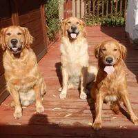 processed/258c855b-b417-4428-b4d9-066a0bee57a1/facility/d43ff96f-8e9a-4afa-a288-93968c34e21d