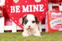 processed/2591c545-fb02-4cb5-b864-def449bf5d1b/listing/034446f3-8def-466f-9a75-4e4746ad0cde/49953532-f0c1-49ed-a872-e9ed3d31b5ac