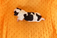 processed/2591c545-fb02-4cb5-b864-def449bf5d1b/listing/034446f3-8def-466f-9a75-4e4746ad0cde/b778a454-6015-45cd-9aea-15d632283267