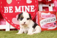 processed/2591c545-fb02-4cb5-b864-def449bf5d1b/listing/034446f3-8def-466f-9a75-4e4746ad0cde/f5e13425-ae24-4d71-9561-a8d75f355a5a