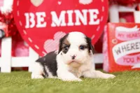 processed/2591c545-fb02-4cb5-b864-def449bf5d1b/listing/034446f3-8def-466f-9a75-4e4746ad0cde/f9362138-c862-4150-8498-5444862011bd