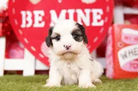 processed/2591c545-fb02-4cb5-b864-def449bf5d1b/listing/1c8b8173-c45e-4183-8339-59e79120edb7/290c4508-aa8f-447b-890b-9b7c11ccad6a