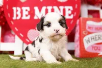 processed/2591c545-fb02-4cb5-b864-def449bf5d1b/listing/1c8b8173-c45e-4183-8339-59e79120edb7/3bbd3fd1-b76e-45b6-9267-4b987bf34249