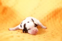 processed/2591c545-fb02-4cb5-b864-def449bf5d1b/listing/1c8b8173-c45e-4183-8339-59e79120edb7/5c7160a0-8d16-4283-b6e4-497659b4ad09