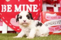 processed/2591c545-fb02-4cb5-b864-def449bf5d1b/listing/1c8b8173-c45e-4183-8339-59e79120edb7/910a8311-9942-435b-ae2c-e3c9fa297f79