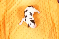 processed/2591c545-fb02-4cb5-b864-def449bf5d1b/listing/1c8b8173-c45e-4183-8339-59e79120edb7/e8f452dc-03f7-48bf-be03-597336a7f1cc