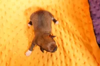 processed/2591c545-fb02-4cb5-b864-def449bf5d1b/listing/25eb6790-6dd3-49a9-befd-1f43b8a57bb8/2f13b835-045a-4722-8e46-b07e15340410