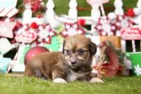 processed/2591c545-fb02-4cb5-b864-def449bf5d1b/listing/25eb6790-6dd3-49a9-befd-1f43b8a57bb8/b49c63ba-ab8e-48c0-a109-b808dea0fb14