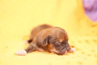 processed/2591c545-fb02-4cb5-b864-def449bf5d1b/listing/25eb6790-6dd3-49a9-befd-1f43b8a57bb8/e0774dd5-1341-41aa-b148-a8eae2fa20df