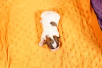 processed/2591c545-fb02-4cb5-b864-def449bf5d1b/listing/2f3c6a60-7a79-4c59-9435-a87c0c63679d/be6eca08-77d5-499d-87f4-5c1ebefa8255