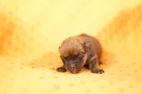 processed/2591c545-fb02-4cb5-b864-def449bf5d1b/listing/330b3274-d846-4bbb-ab1f-93f8745a4458/20e59cae-07d8-4f0c-91f2-a086093eab98