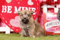 processed/2591c545-fb02-4cb5-b864-def449bf5d1b/listing/330b3274-d846-4bbb-ab1f-93f8745a4458/212b40d0-2c86-4f3e-b7bb-3cf9b91f0de5